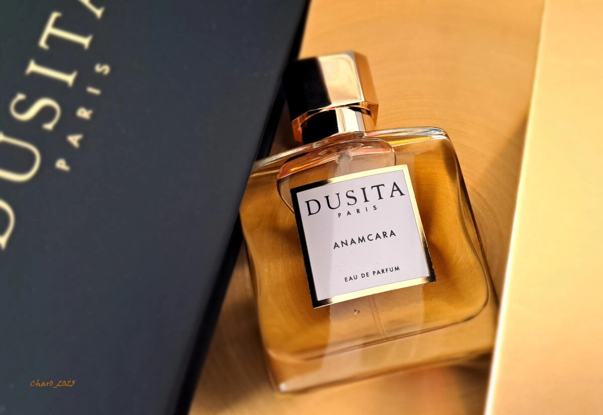 Dusita Anamcara Dusita Anamcara