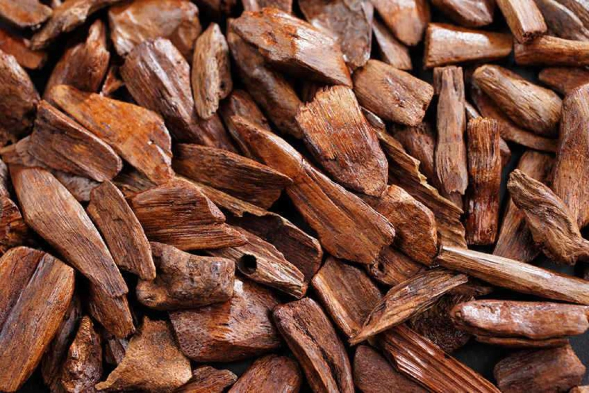 Фото Китайский уд