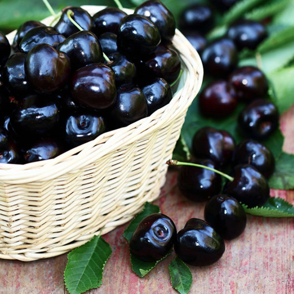 Фото Черная вишня