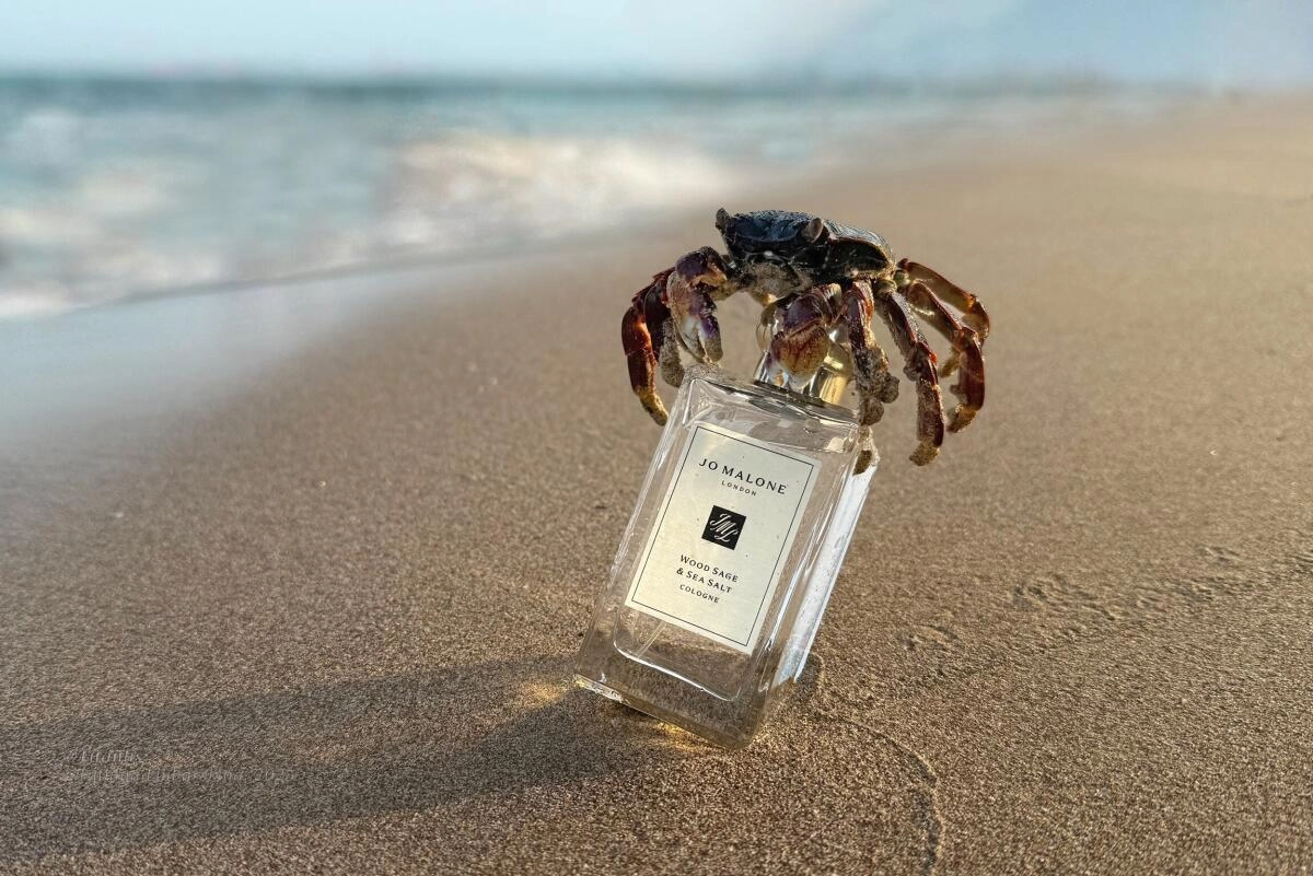 Jo Malone Wood Sage & Sea Salt Jo Malone Wood Sage & Sea Salt
