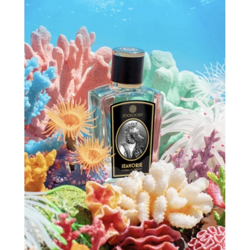Фото Zoologist Perfumes Seahorse