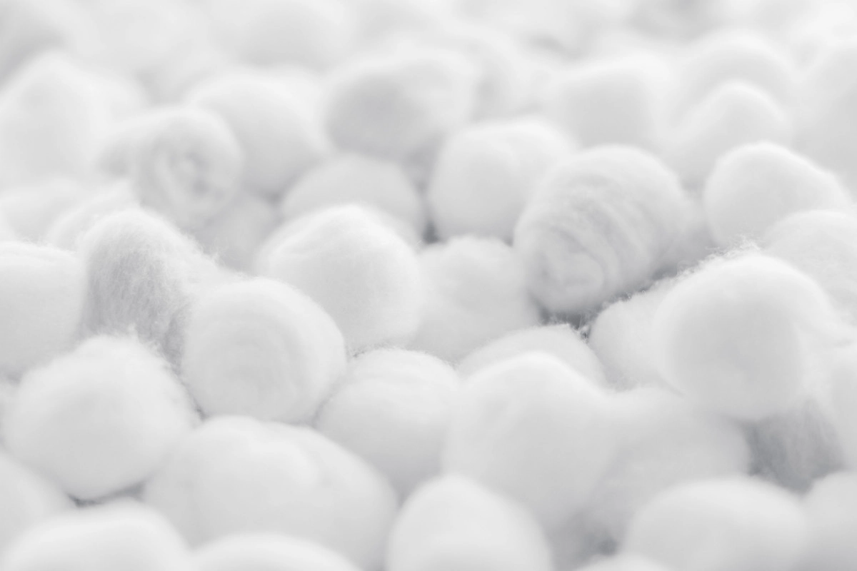 Фото Цветок хлопка