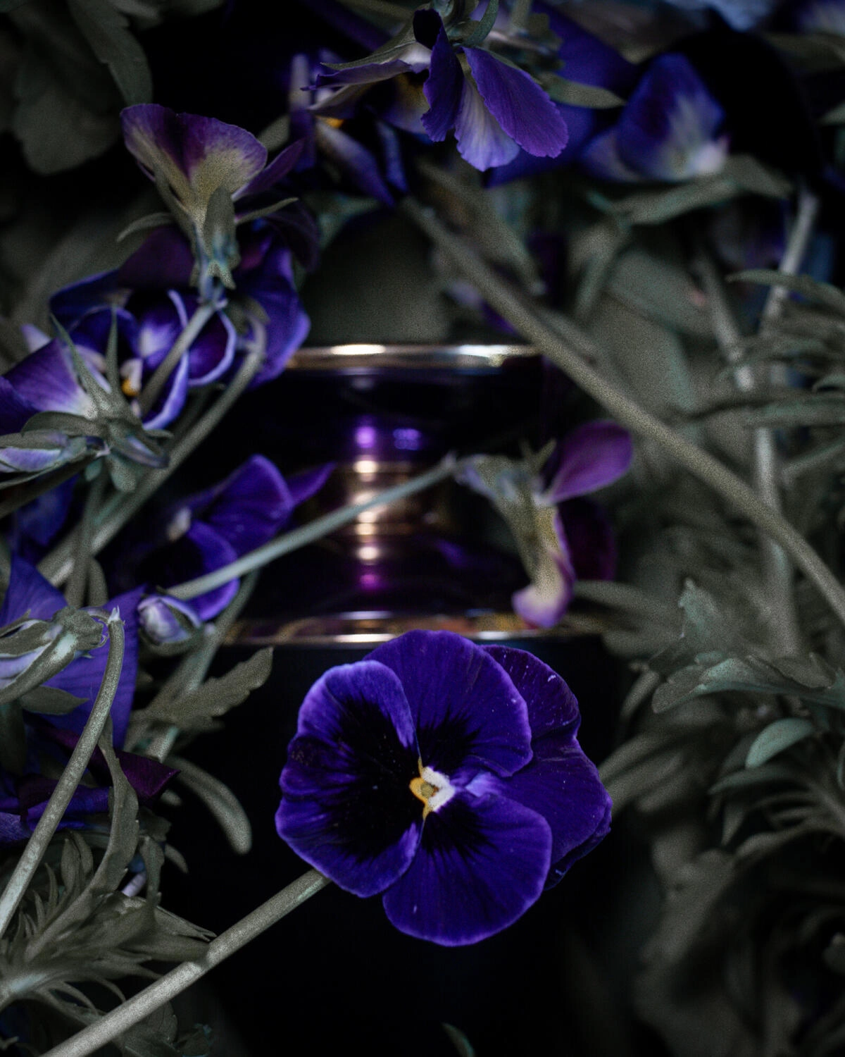 BVLGARI Ashlemah BVLGARI Ashlemah