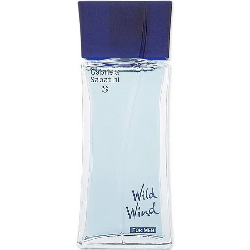 Фото Gabriela Sabatini Wild Wind for Men
