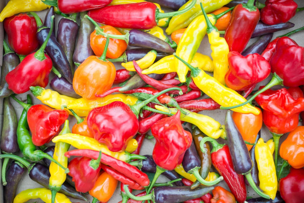 Фото Пименто