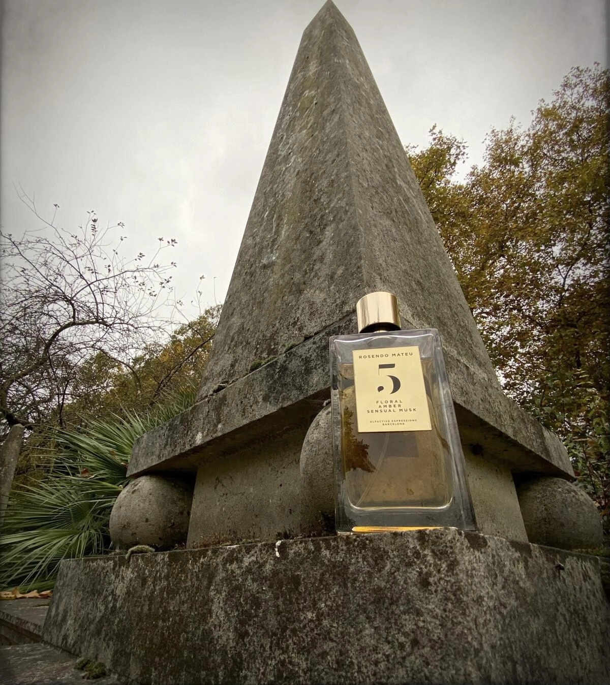 Rosendo Mateu Olfactive Expressions Rosendo Mateu Nº 5 Floral, Amber, Sensual Musk Rosendo Mateu Olfactive Expressions Rosendo Mateu Nº 5 Floral, Amber, Sensual Musk