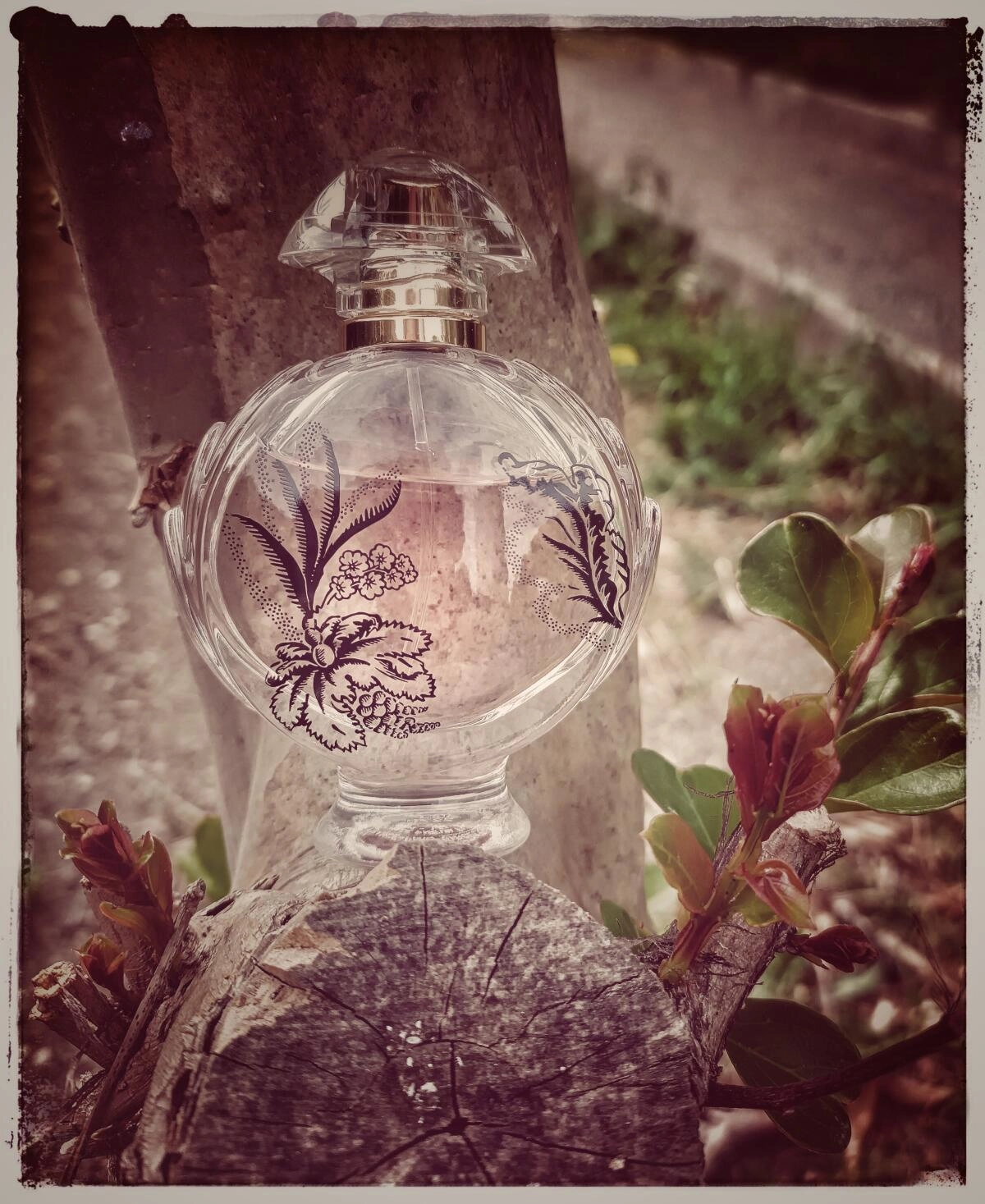 Paco Rabanne Olympea Blossom Paco Rabanne Olympea Blossom