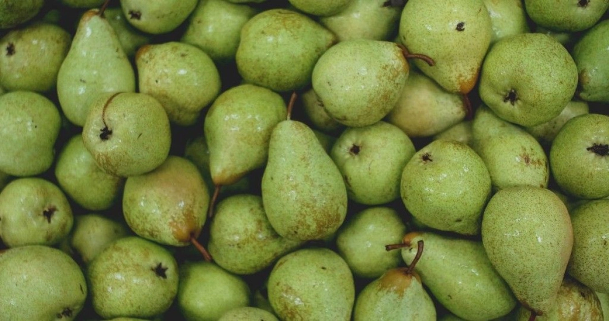 Фото Зеленая груша