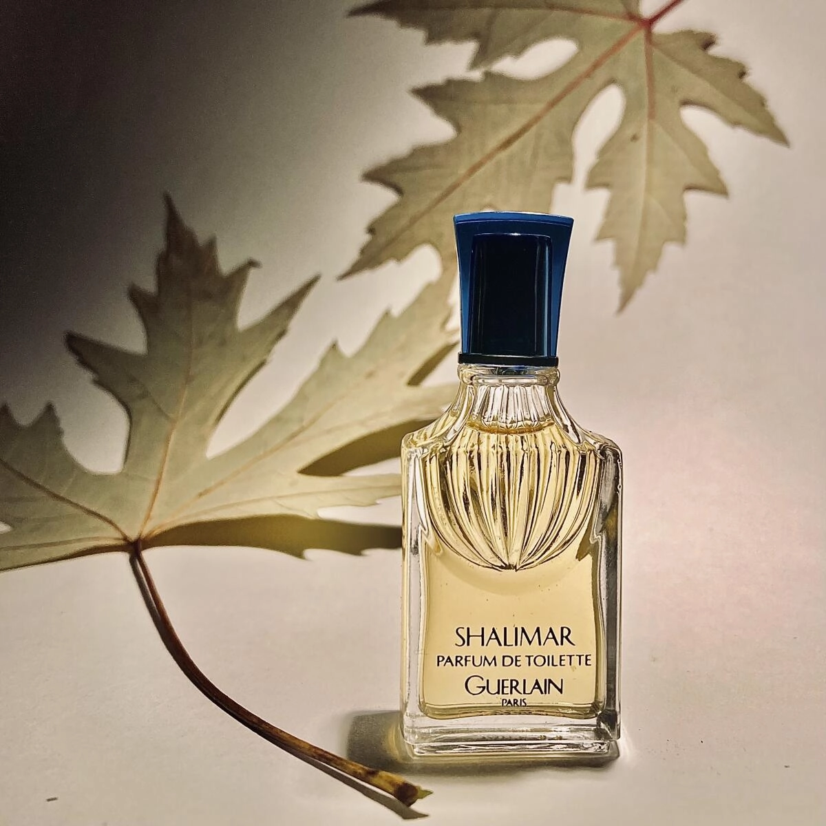 Guerlain Shalimar Eau de Toilette Guerlain Shalimar Eau de Toilette