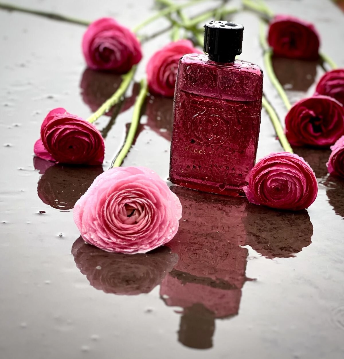Gucci Guilty Absolute pour Femme Gucci Guilty Absolute pour Femme