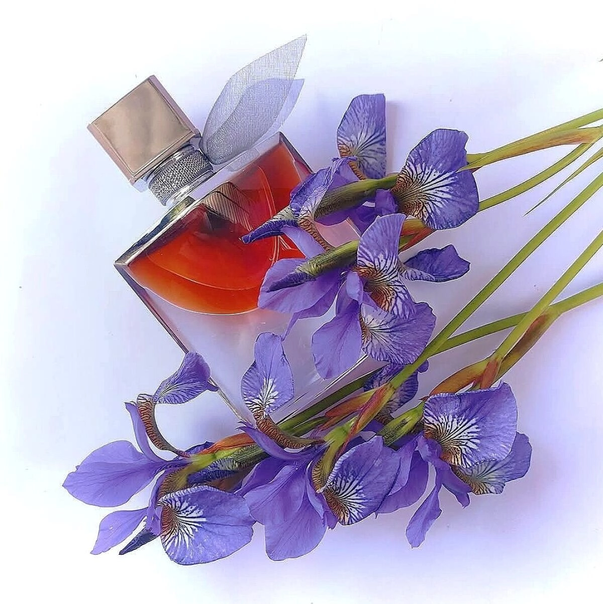 Lancome La Vie Est Belle L’Absolu Lancome La Vie Est Belle L’Absolu