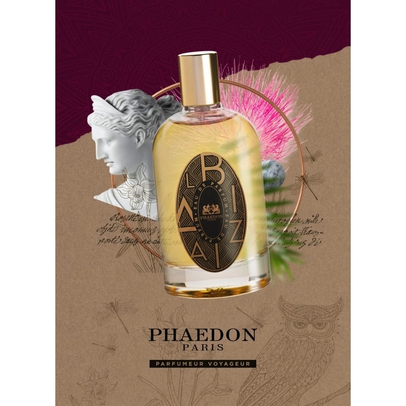 Фото Phaedon Albizia