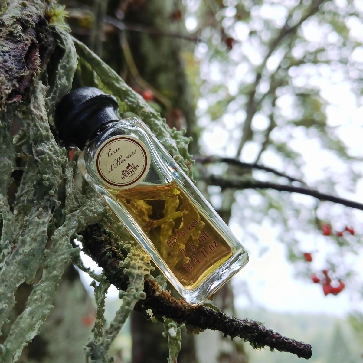 Eau D’Hermes Eau D’Hermes