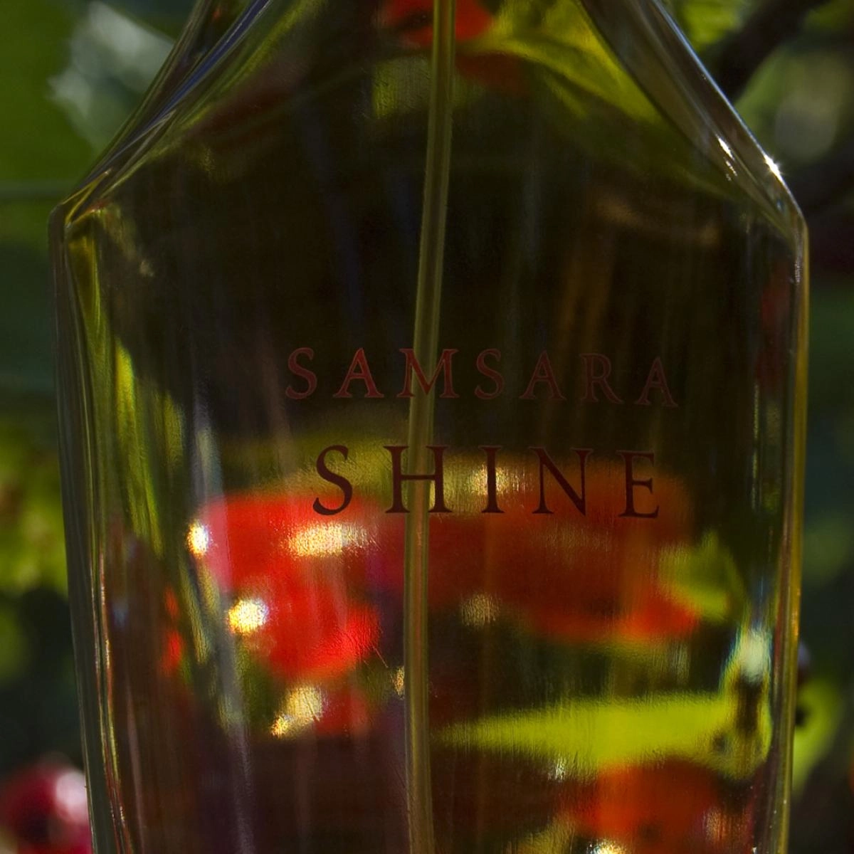 Guerlain Samsara Shine Guerlain Samsara Shine