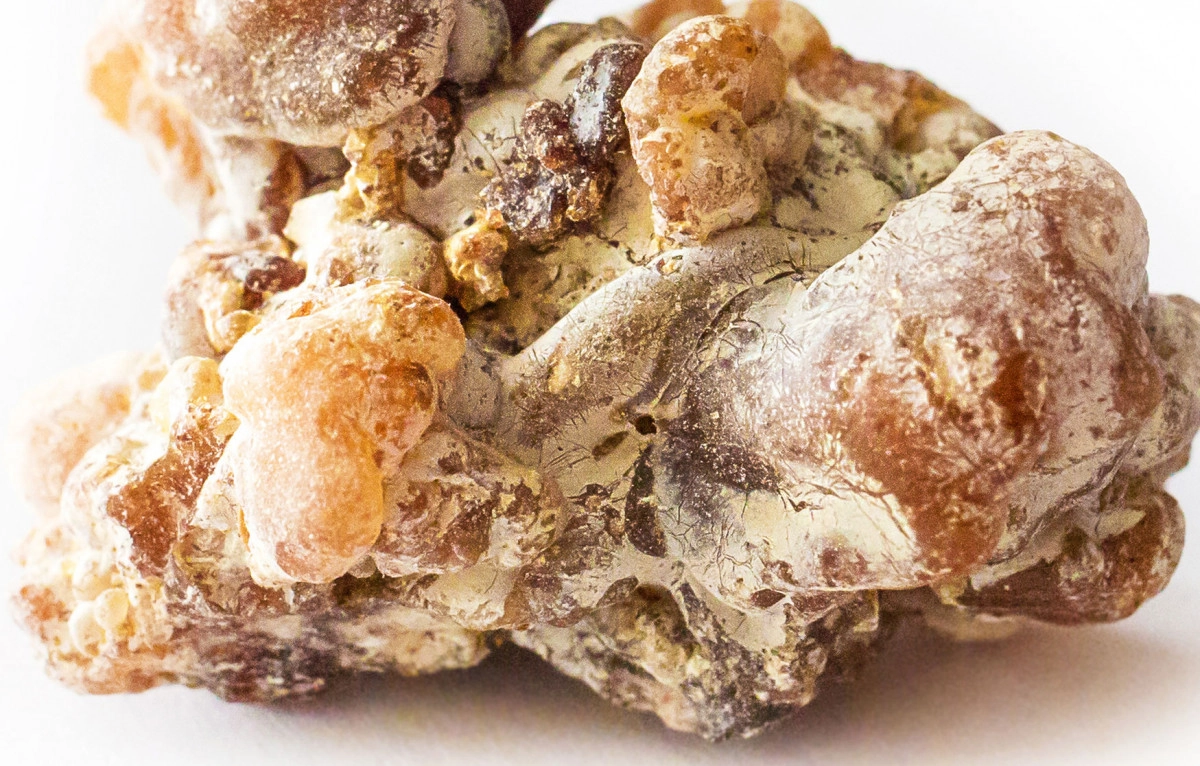 Фото Бальзам копаху