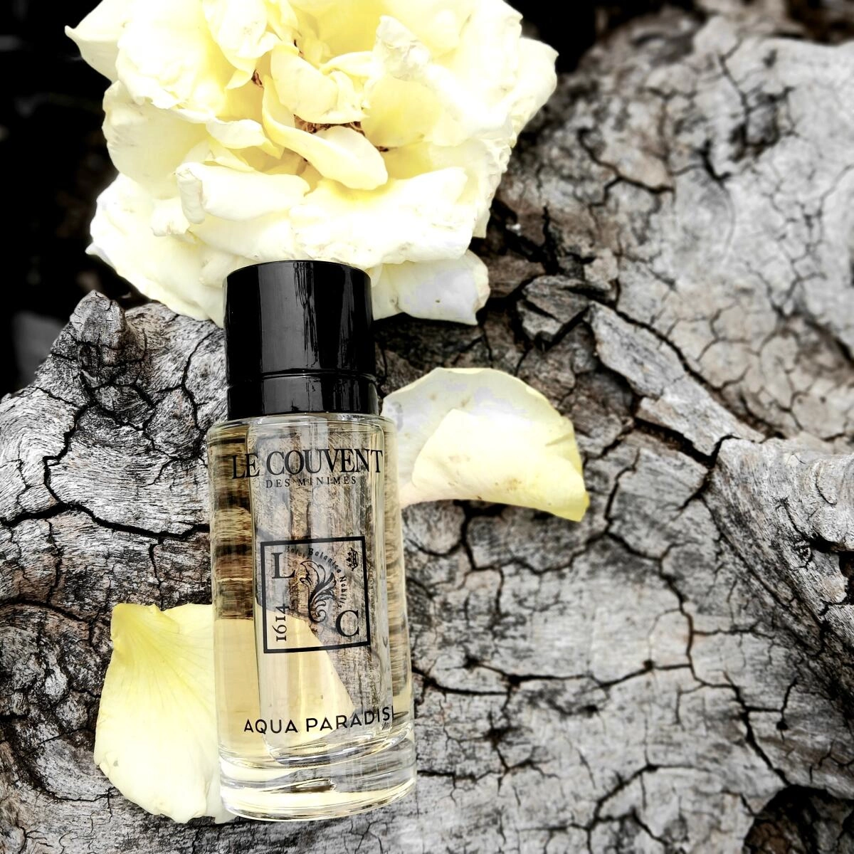 Le Couvent Maison de Parfum Aqua Paradisi Le Couvent Maison de Parfum Aqua Paradisi