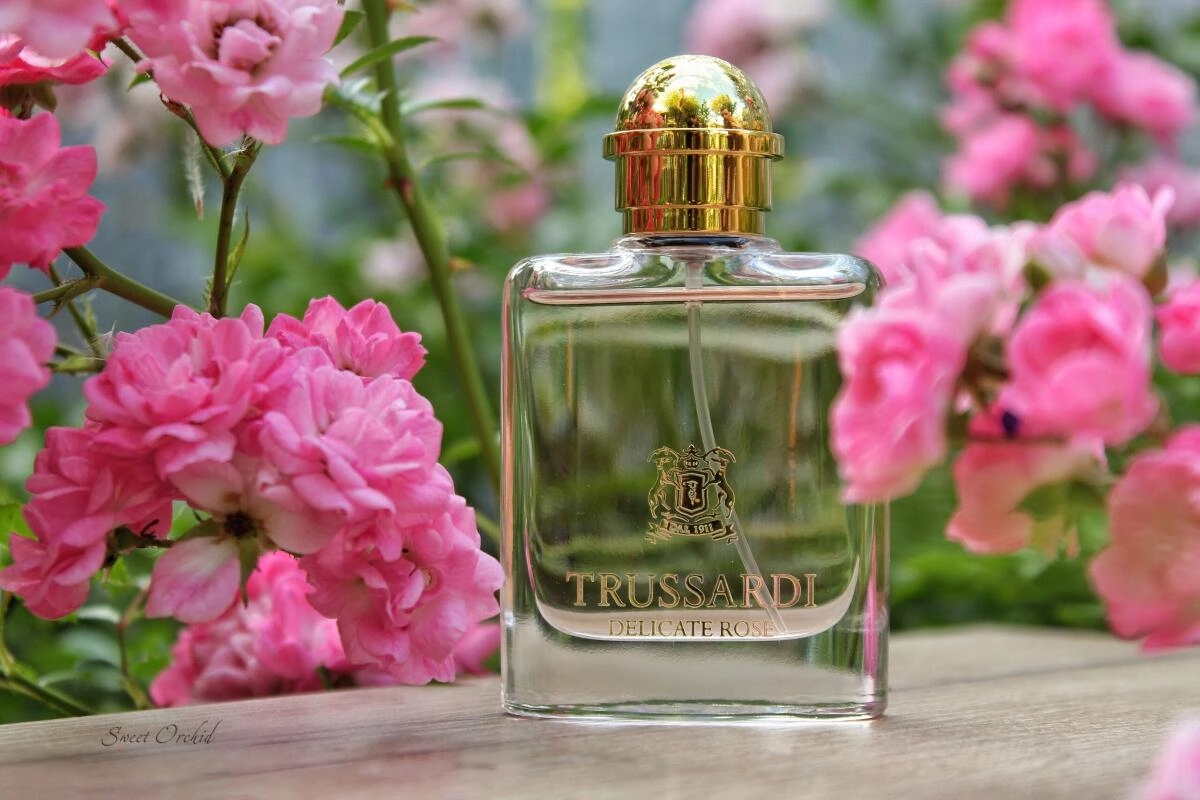 Trussardi Delicate Rose Trussardi Delicate Rose