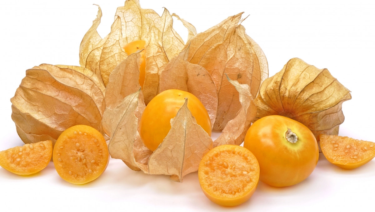 Фото Физалис