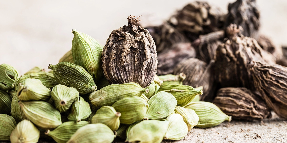 Фото Кардамон