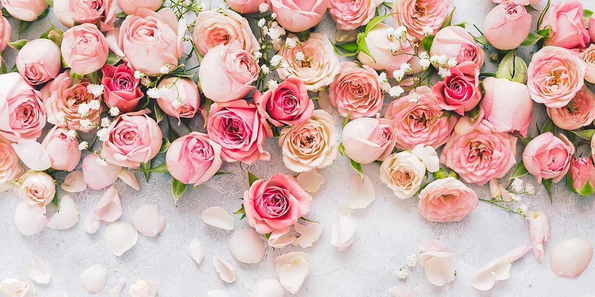 Фото Цветочные ноты