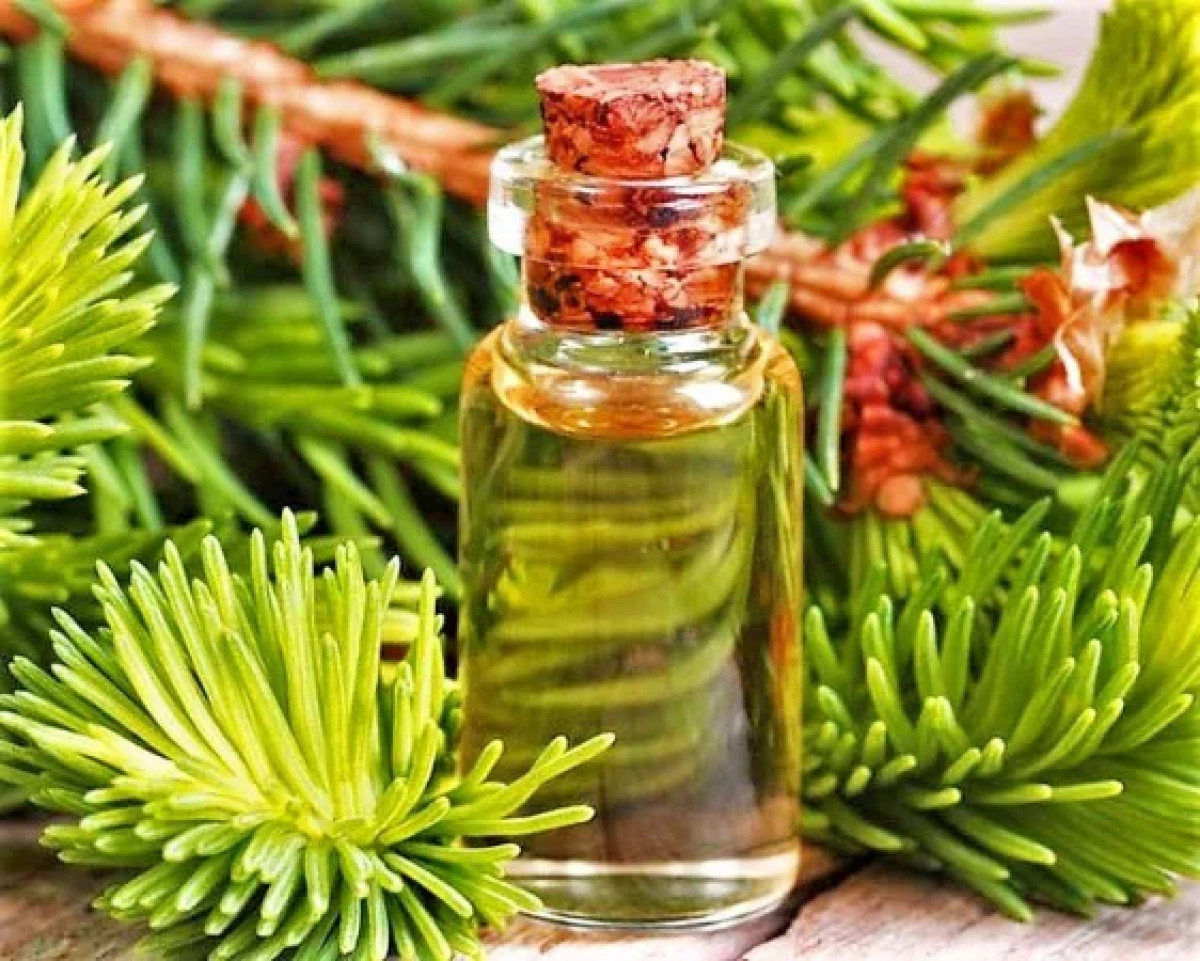 Фото Ароматические ноты