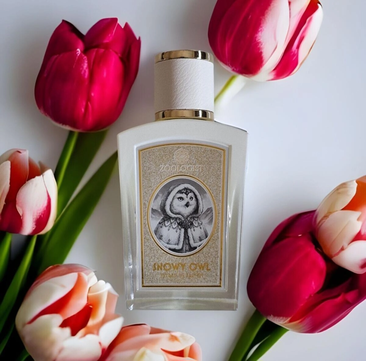 Zoologist Perfumes Snowy Owl Zoologist Perfumes Snowy Owl