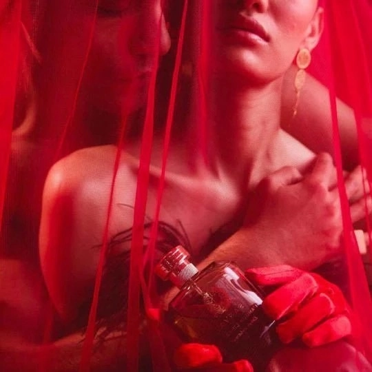 Фото Sasva L’Amour Libertin Eshqh-e-Aazaad