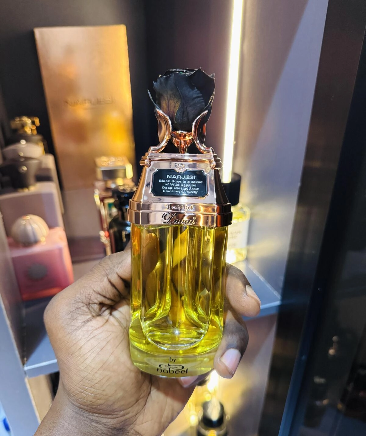 The Spirit of Dubai Narjesi The Spirit of Dubai Narjesi