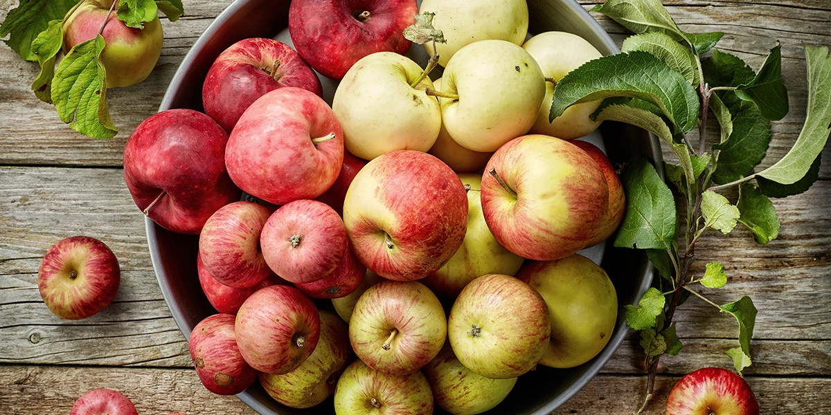 Фото Яблоко