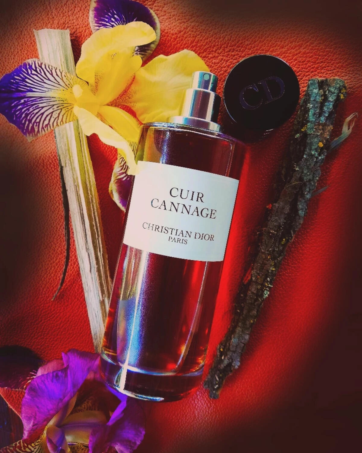 Christian Dior Cuir Cannage Christian Dior Cuir Cannage