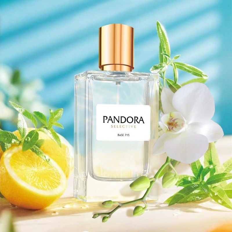 Фото Pandora Selective Base 715