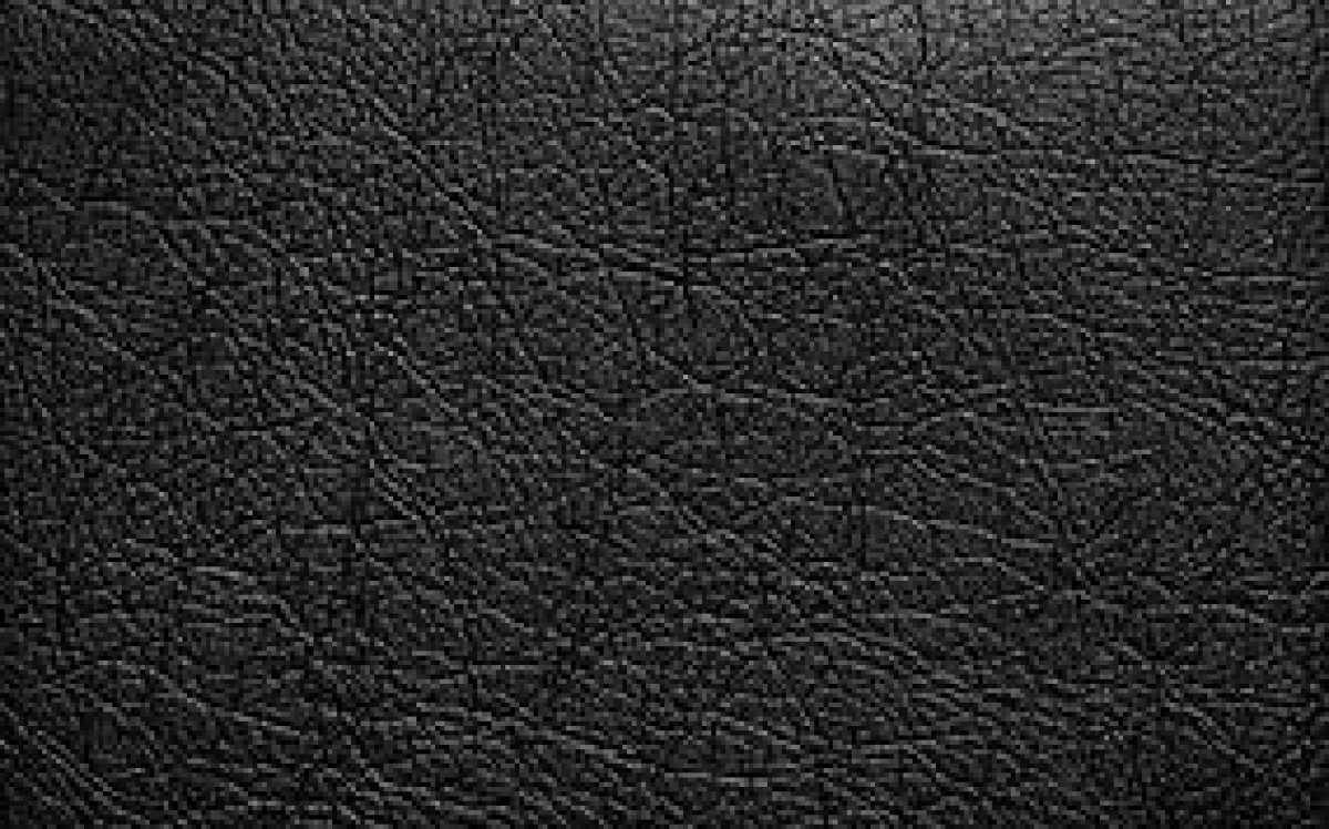 Фото Черная кожа