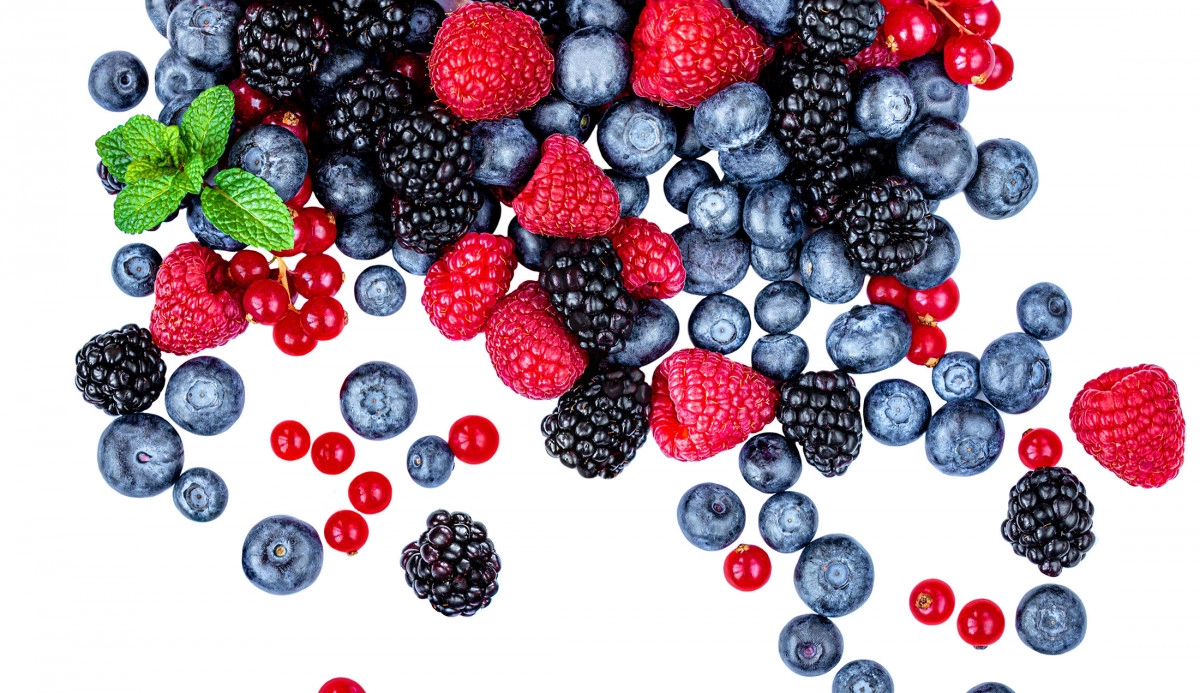 Фото Лесные ягоды