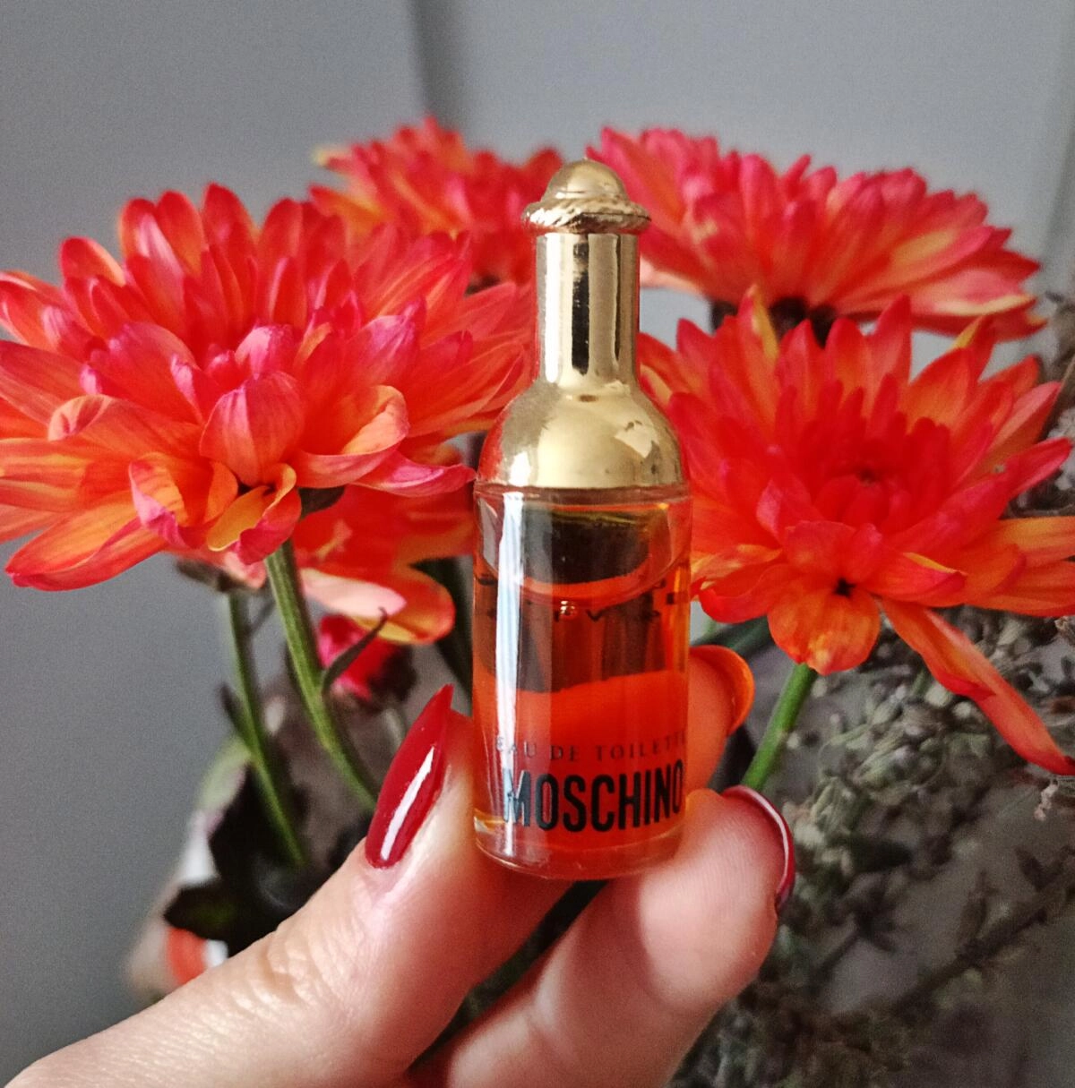 Moschino Moschino