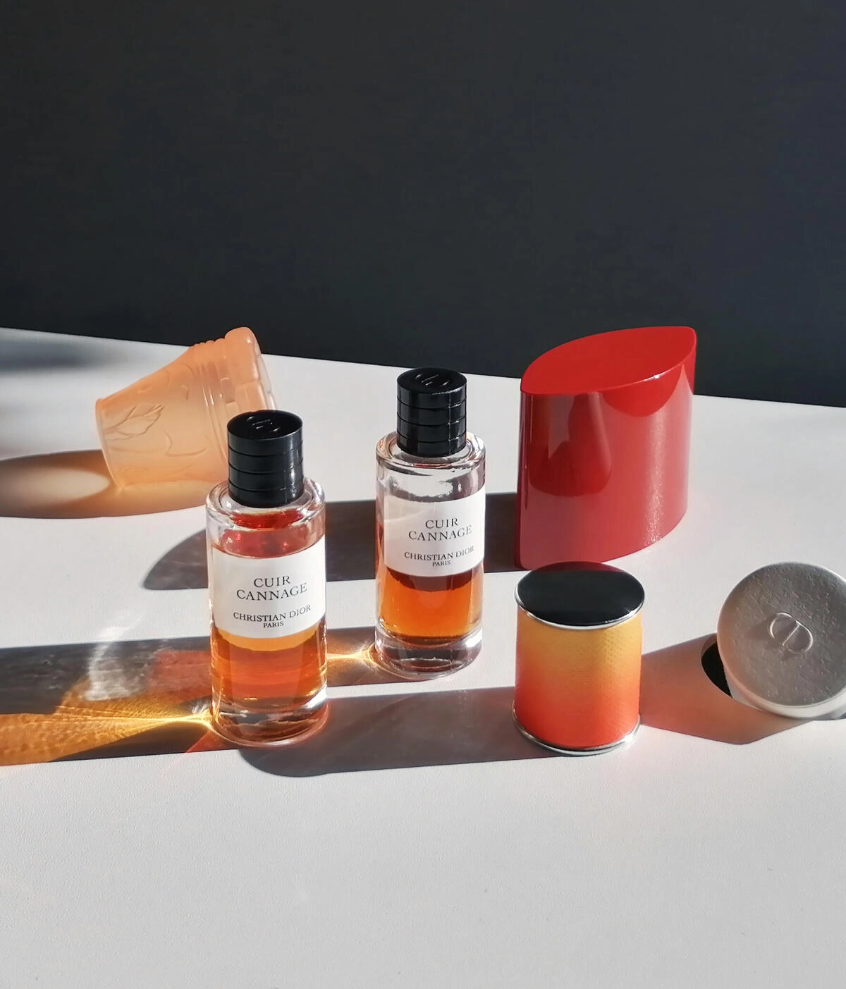 Christian Dior Cuir Cannage Christian Dior Cuir Cannage