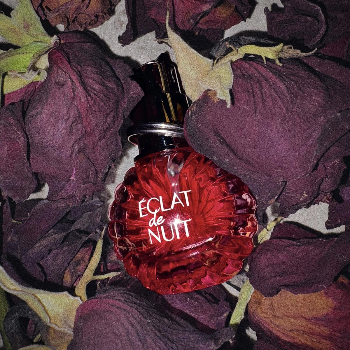 Lanvin Eclat De Nuit Lanvin Eclat De Nuit