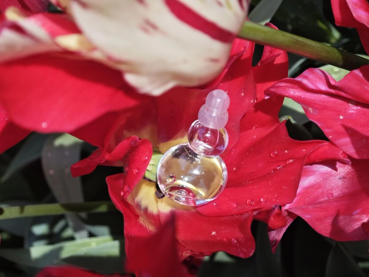 Azzaro Eau Belle Azzaro Eau Belle