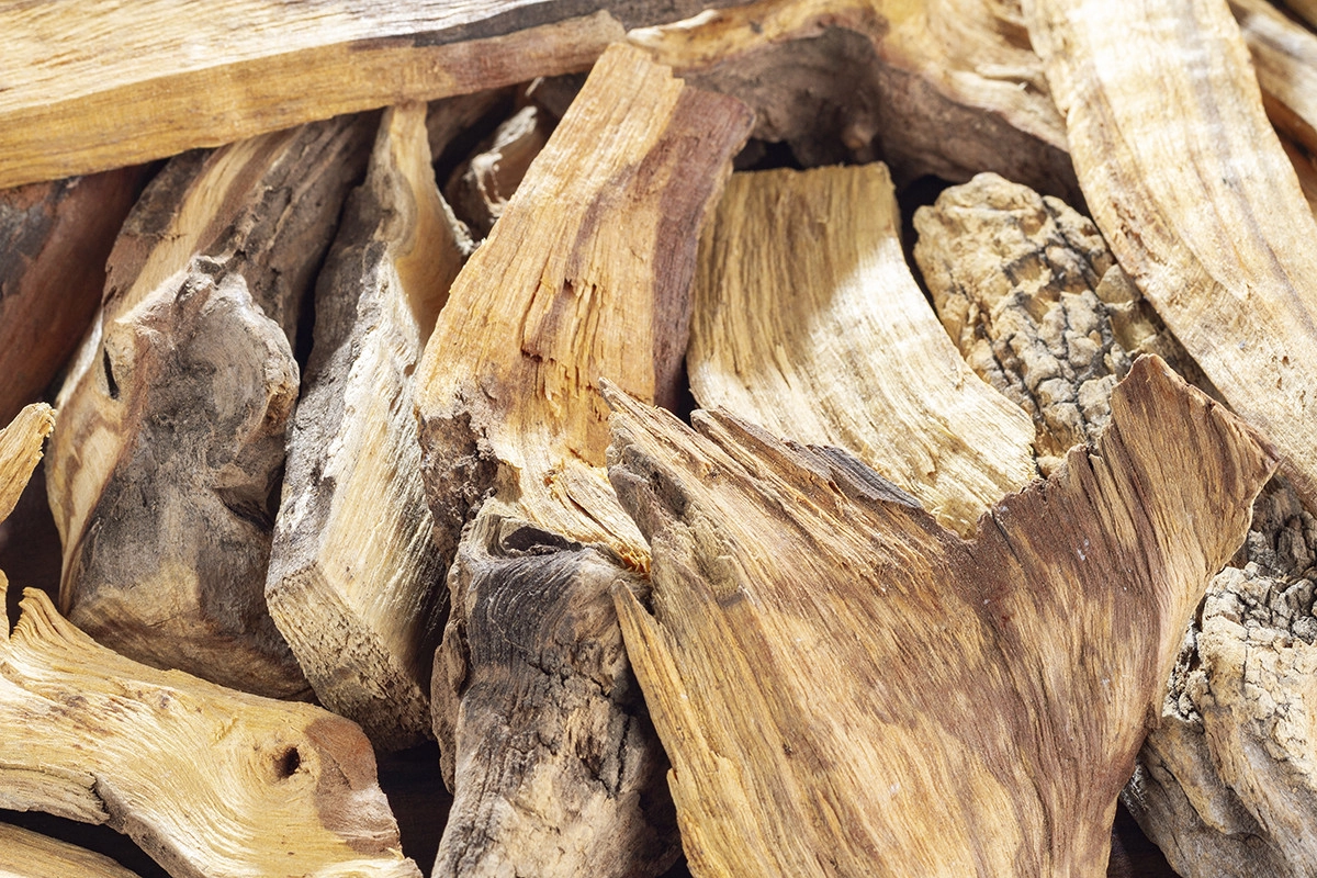 Фото Гваяковое дерево