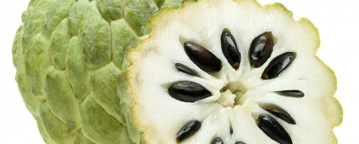 Фото Черимойя