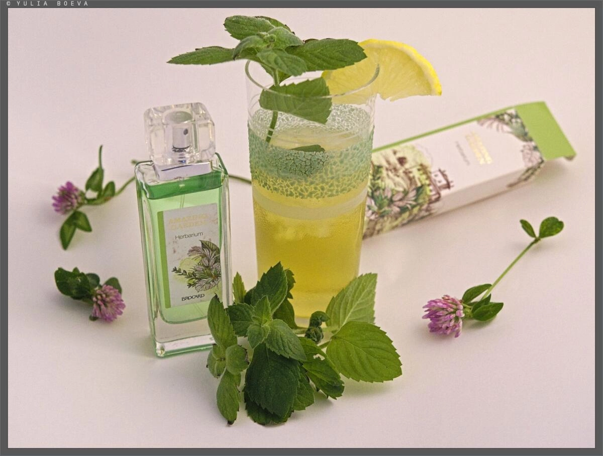Brocard Herbarium (Гербариум) Brocard Herbarium (Гербариум)