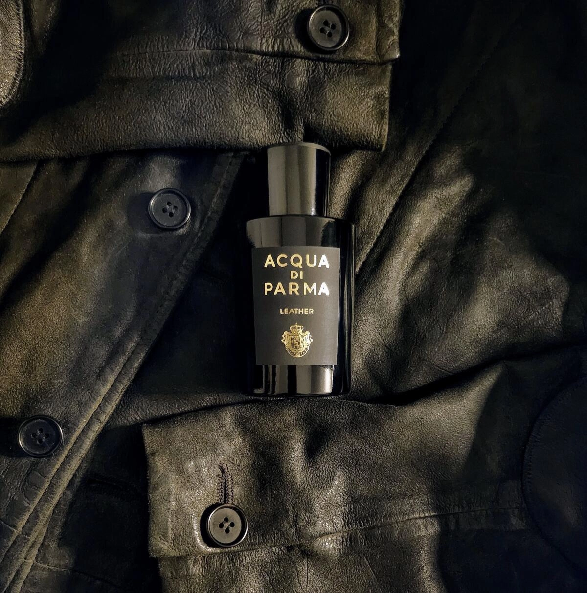 Acqua di Parma Leather Eau de Parfum Acqua di Parma Leather Eau de Parfum