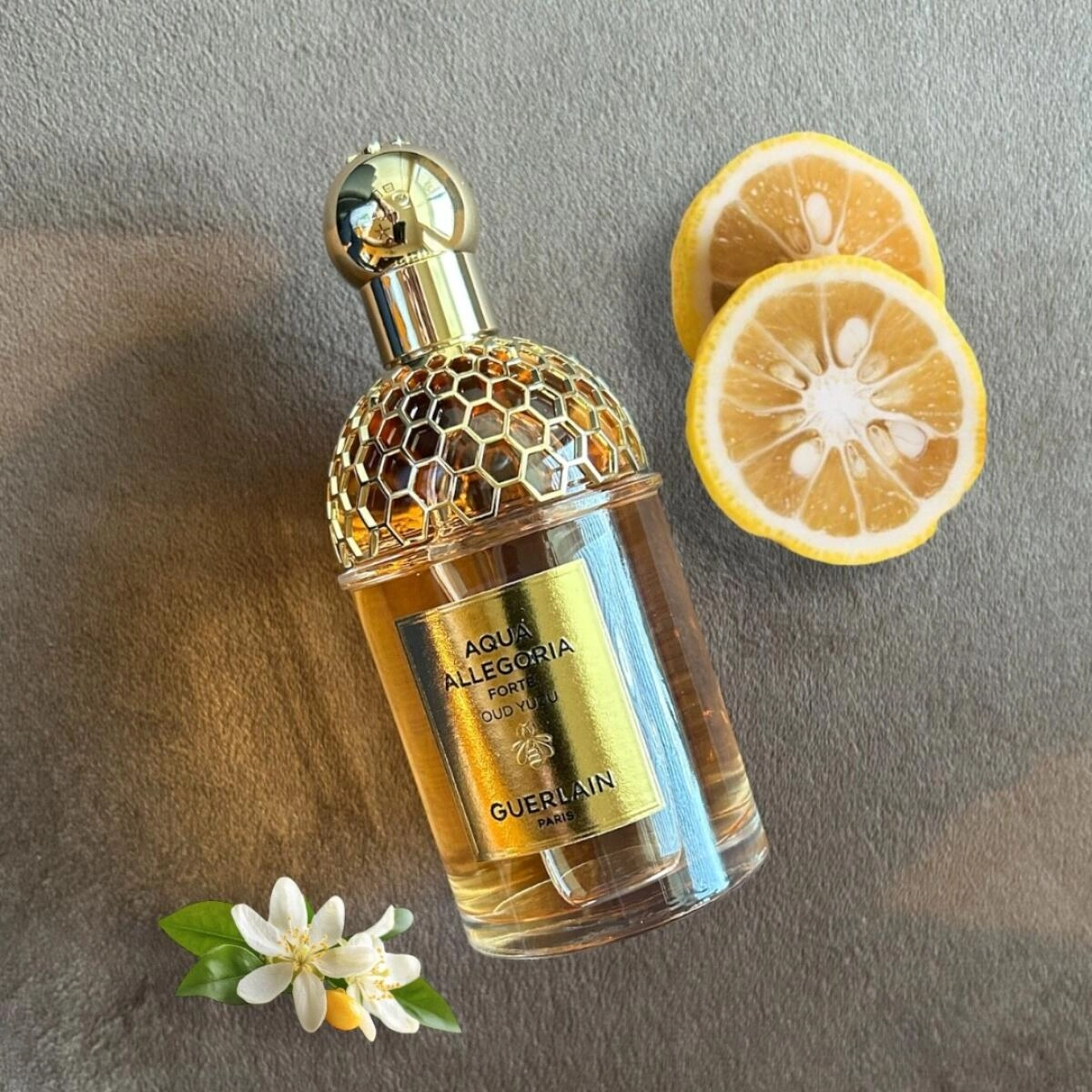 Guerlain Aqua Allegoria Forte Oud Yuzu Guerlain Aqua Allegoria Forte Oud Yuzu
