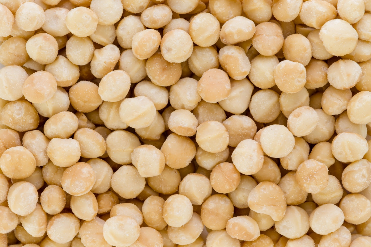 Фото Макадамия