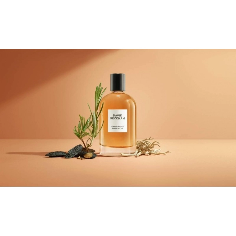 Фото David Beckham Amber Breeze