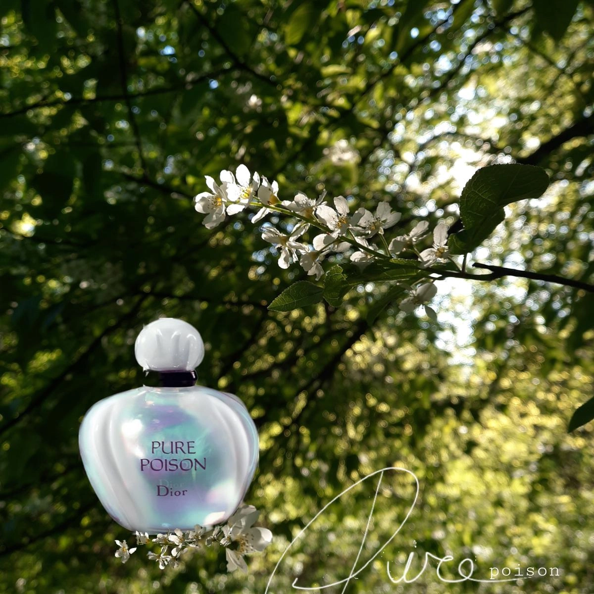 Christian Dior Pure Poison Elixir Christian Dior Pure Poison Elixir