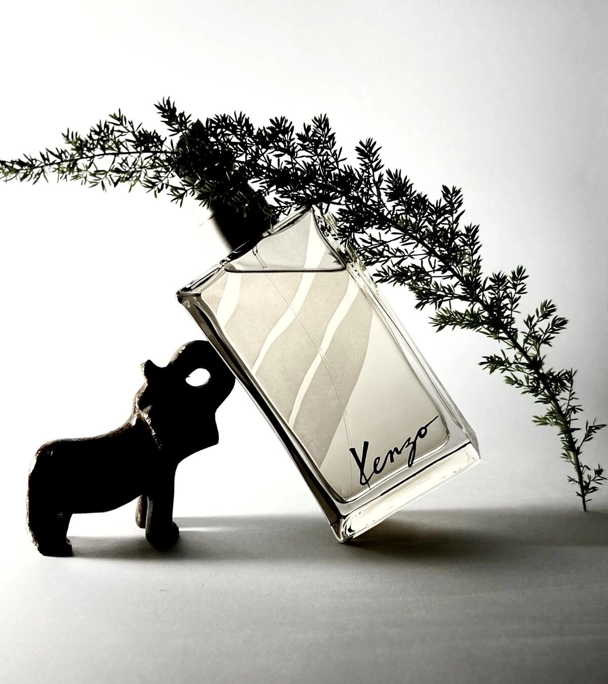 KENZO Jungle KENZO Jungle