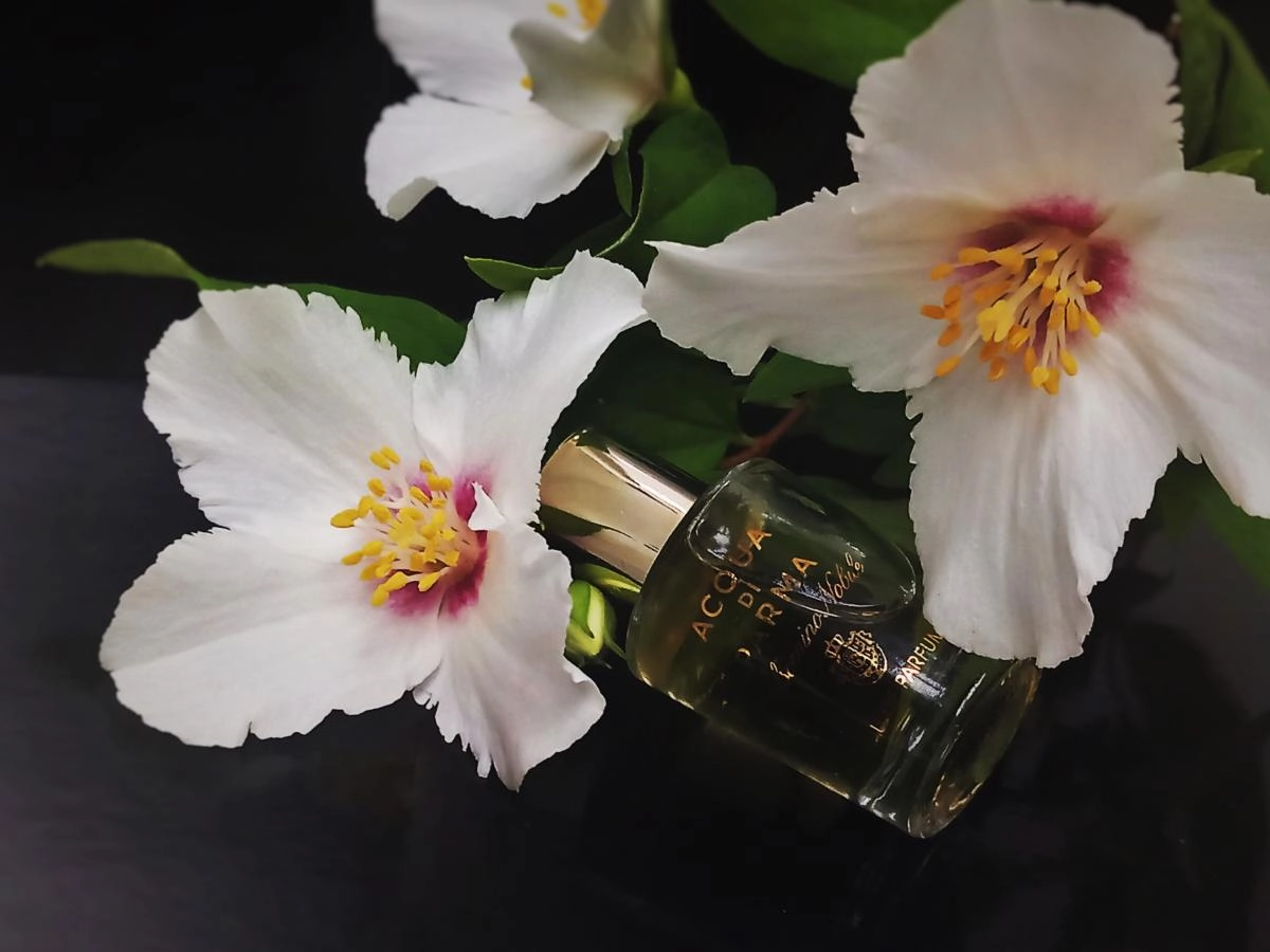 Acqua di Parma Gelsomino Nobile Acqua di Parma Gelsomino Nobile