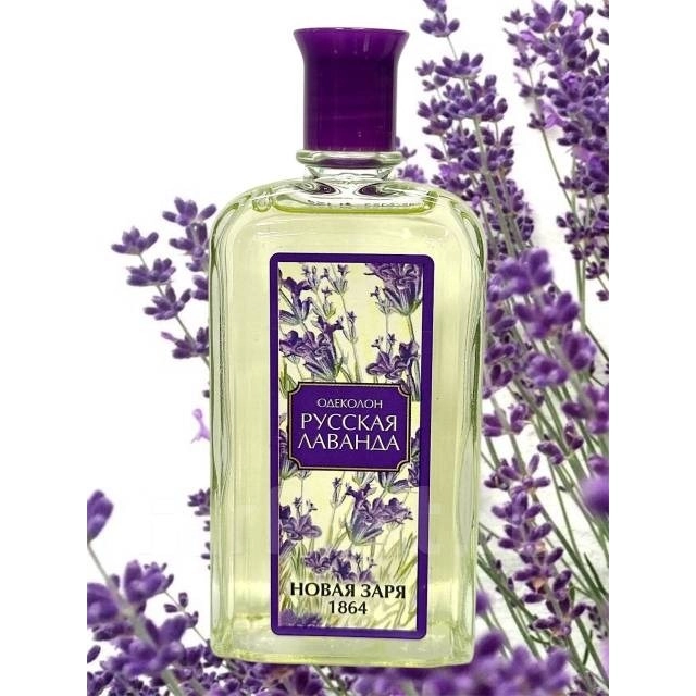 Фото Novaya Zarya (Новая Заря) Русская Лаванда