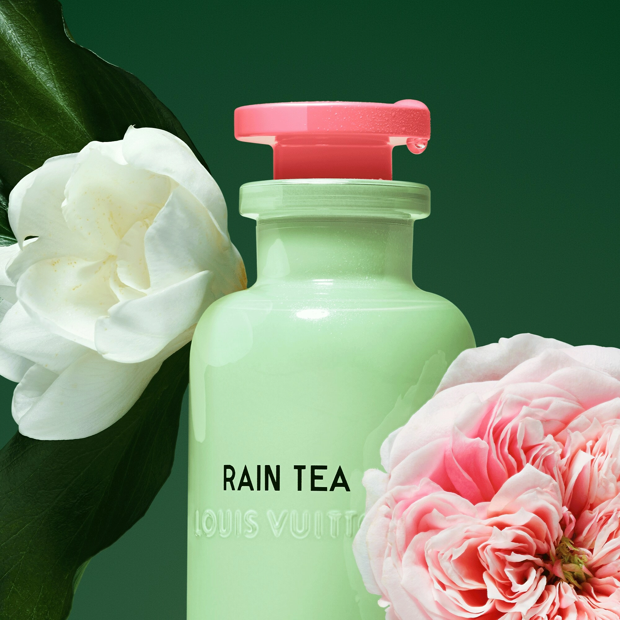 Фото Louis Vuitton Rain Tea