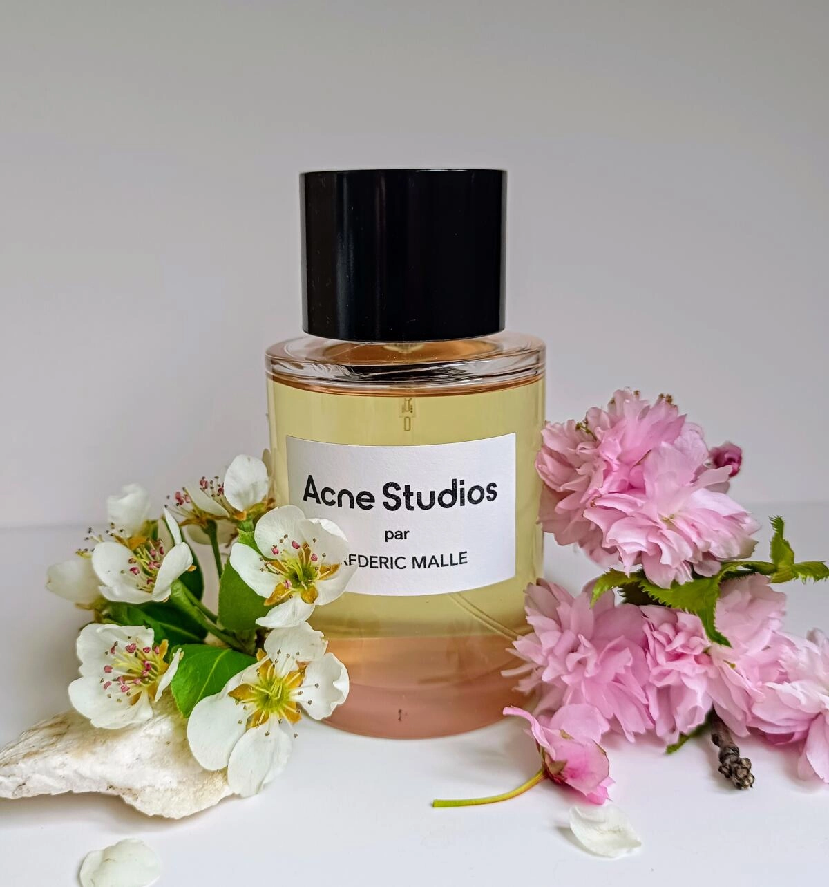 Frederic Malle Acne Studios Frederic Malle Acne Studios